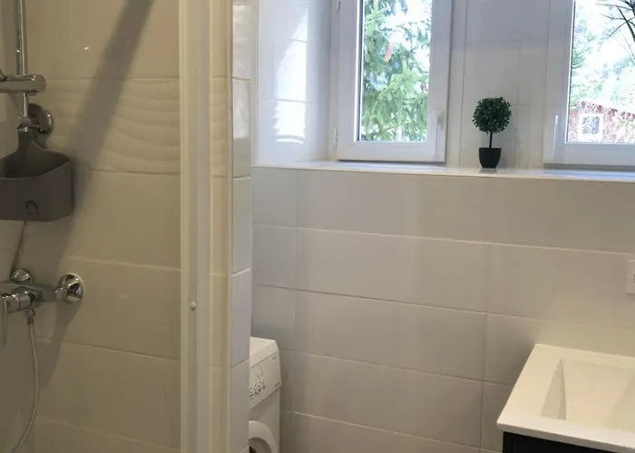 T3 / 58m2 Apartment La Condamine-Chatelard